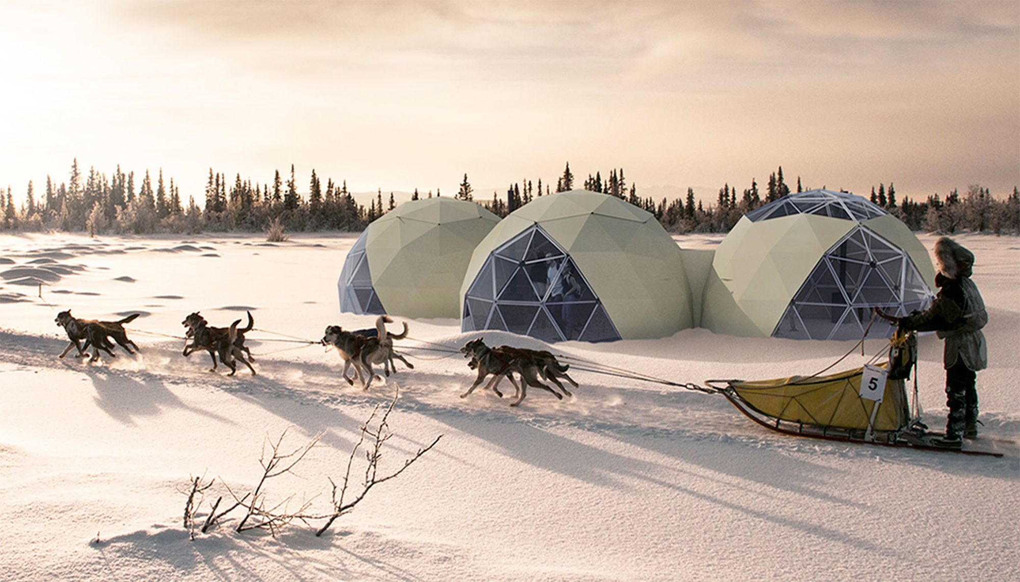 Arctic Dome hundekjøring